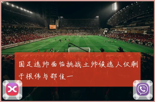 国足选帅面临挑战土帅候选人仅剩于根伟与邵佳一