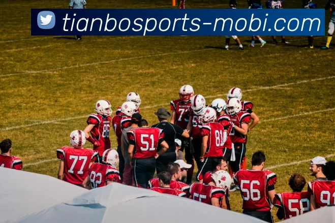 天博体育APP 高清赛事图